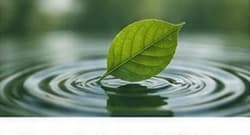 Leaf on water, representing lower emissions